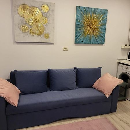 Downtown Apartment Boutique - Blue & Pink Bucarest Exterior foto